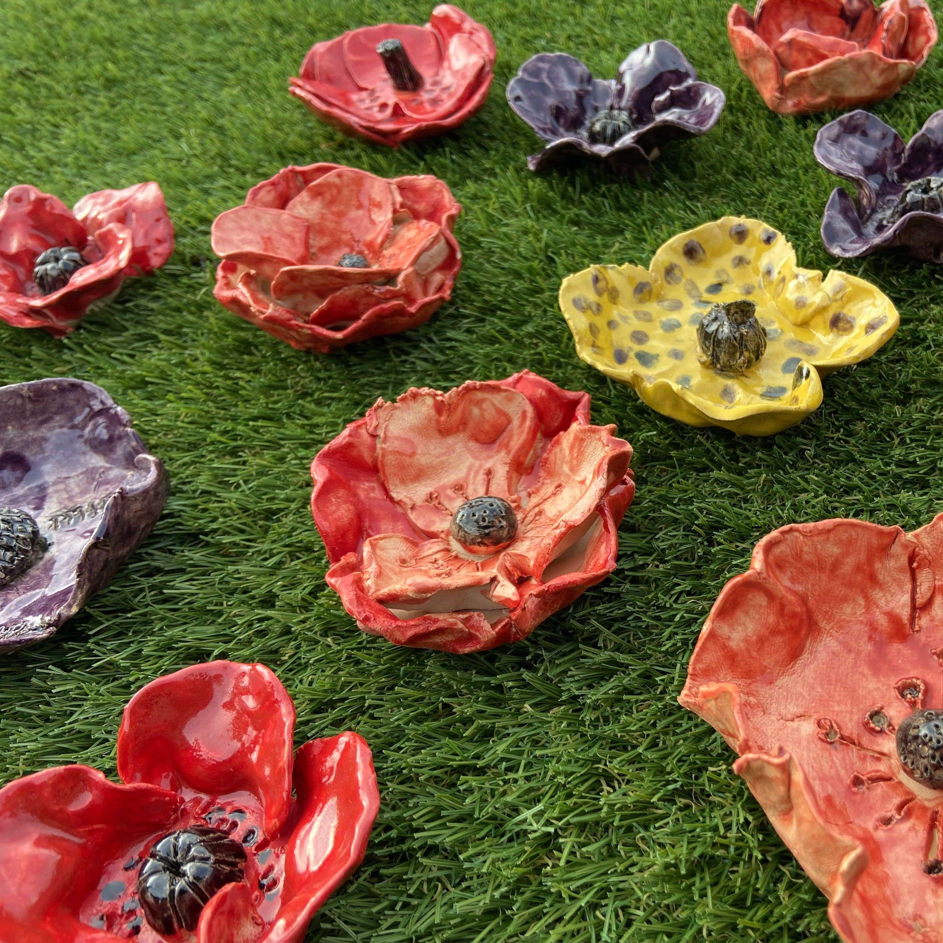   veteran poppies 5.1
