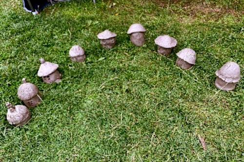 Pottery in the park
